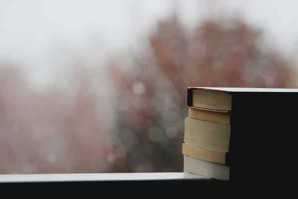 best mystery book covers 2020