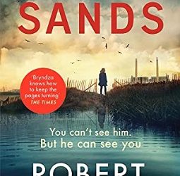 Mystery Thriller Review Shadow Sands