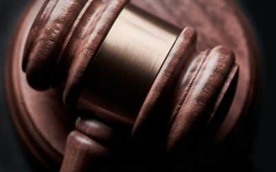 The Appeal of Legal Thrillers