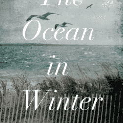 The Ocean in Winter