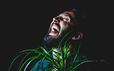 Humor in Mysteries
