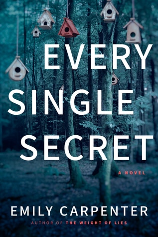 PsychogPsychological Suspense EVERY LITTLE SECRETical Suspense EVERY LITTLE SECRET