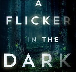 A Flicker in the Dark