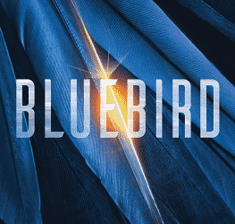 Bluebird