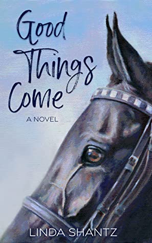 Good Things Come Romantic Suspense