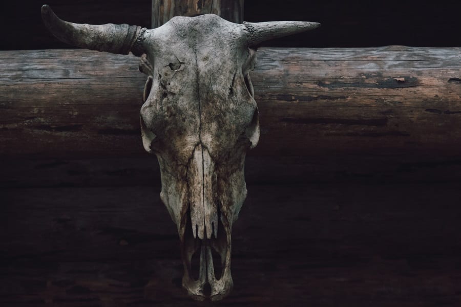 Texas Murder Mysteries Texas Murder Mysteries