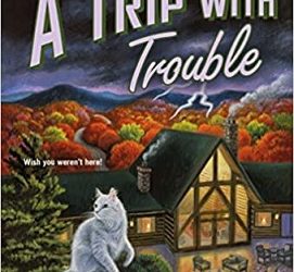 A Trip with Trouble