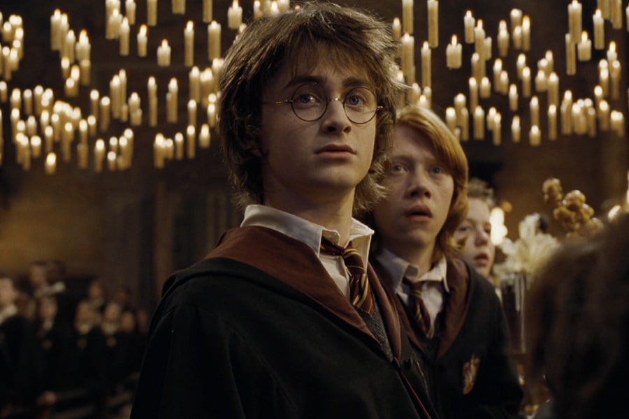 Harry Potter, Private Investigator Harry Potter, Private Investigator