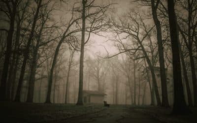 Small Town Horror