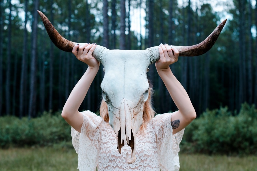 Pulpy Western Horror Pulpy Western Horror