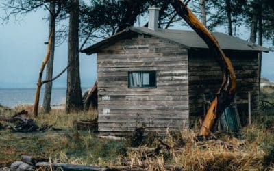 Scandinavian vs Southern Noir