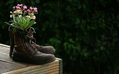 Gardening Cozy Mysteries