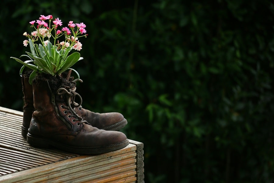 Gardening Cozy Mysteries Gardening Cozy Mysteries
