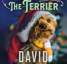 The More the Terrier